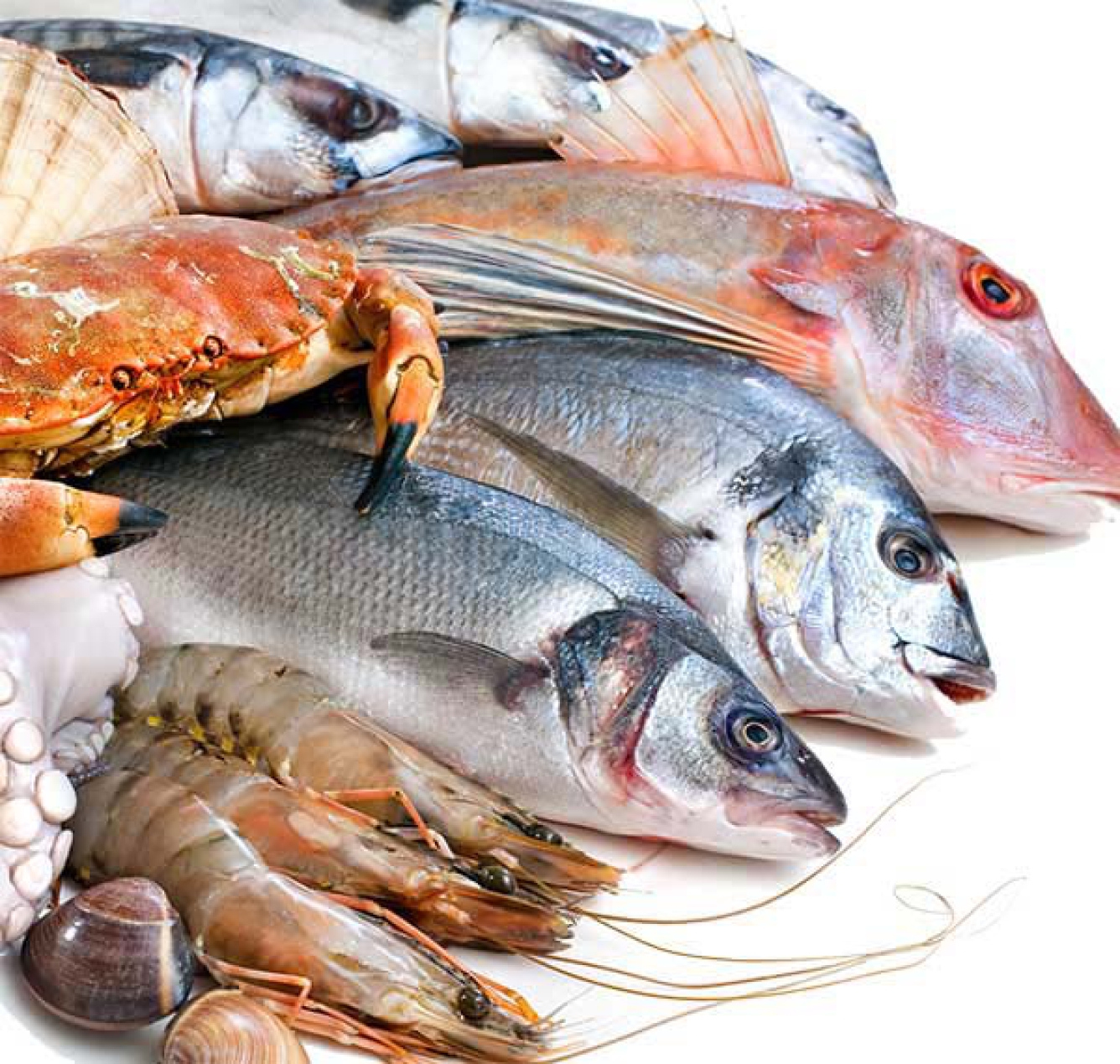 Food exporters fret over registration in China